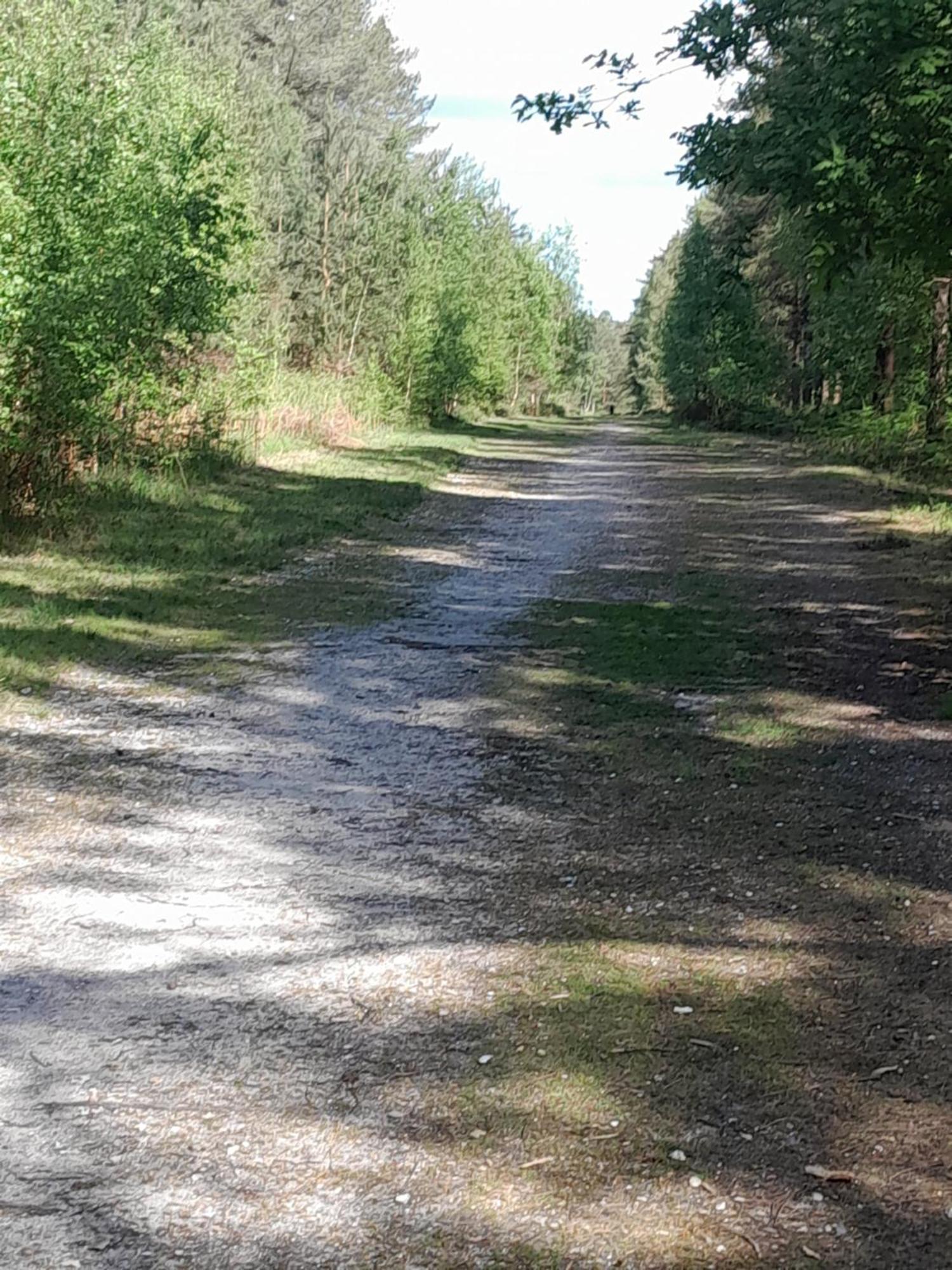 Happy Place No4 Campsite Ringwood
